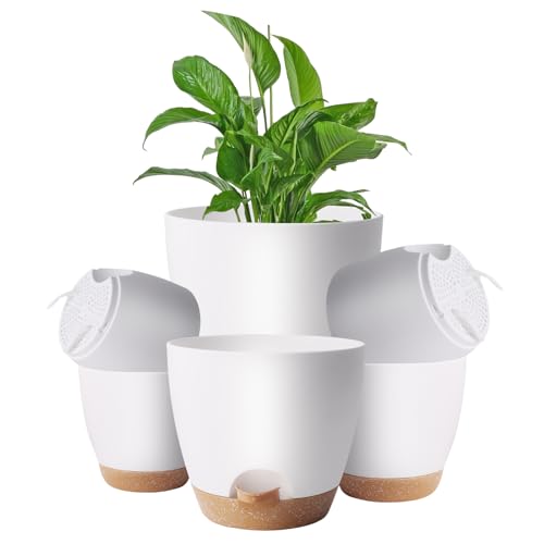 Aedcbaide Plant Pots Indoor 6 Packs, 20/17.5/16.5/15/14/12.5cm Self Watering Plant Pots Indoor with Drainage Holes Saucer and Reservoir, Plastic Plant Pots Flowerpots Decorative Planters for Succulent