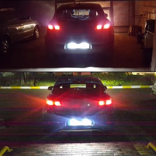 Luz de matrícula para pasar la ITV en Twingo 2 y Clio 3 lámpara de placa 5