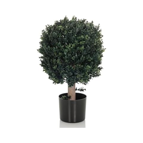 Plante Artificielle BUXUS hjh OFFICE Cover