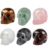 Nupuyai 6er Set Kristallschädel Edelstein Totenkopf Skulptur Handgeschnitzt Kristall Schädel Heil...