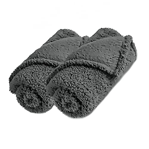 FONDOTIN 2 Pack Pet Blankets for Cats Dogs Soft Wool Blanket for Puppies Skin-Friendly Pet Sleeping Mats