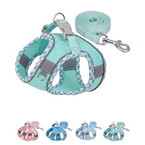 Petank Dog Harness for Small Medium Dogs No Pull, Puppy Harness and Leash Set, Step in Dog Harness for Walking, Running, Training, Small Dog Vest(Green, S)