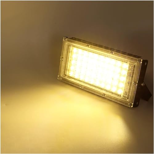 LEDCgA IP65tN^[X|bgCgOiϏƖiAAK[WAopj(Warm Light,50W)