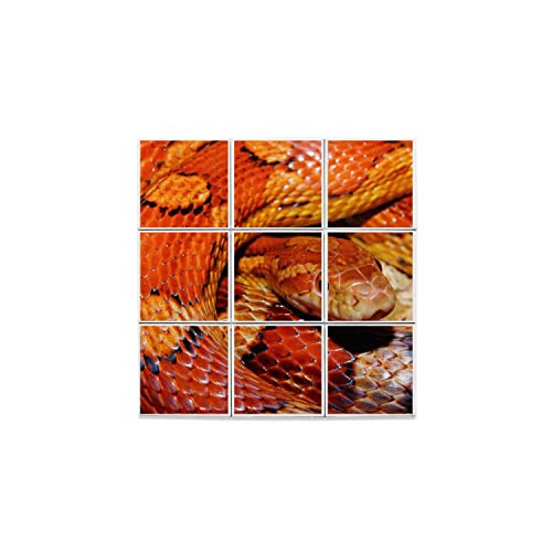 Carreaux céramique serpent des blés pour habiller le salon décoration murale nature sauvage