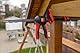 BESSEY Einhandzwinge mit drehbarem Griff EZ360M-15, Spannweite 150 mm Ausladung 60 mm, einfaches Überkopfarbeiten, Innovativer 360° Dreh-Mechanismus, Gewicht 0,41 Kg
