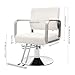 ZAWAYINE Barber Chair Salon Chair for Hair Stylist Hair Chair for Barbershop 360° Swivel Salon Styling Spa Beauty Salon Equipment Beauty for Women Man Barbershop Home Max Load Weight 440 Lbs