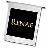 3dRose 18 x 27 inch Garden Flag - Renae Chic Baby Girl Name in America. Yellow on Black Alexis Design - Popular Female Names in USA