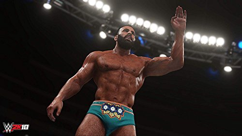 Image of WWE 2K18 (PS4)