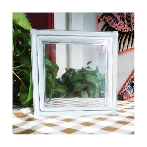 ZNQNDSR Brique de Verre Blocs De Verre Creux pour Murs Intérieurs, Briques Transparentes pour Salles De Bains Et Hôtels, Protection De La Vie Privée