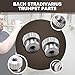 (2-Pack) Compatible with Bach Stradivarius Trumpet Tuning Slide Stop Screws and 3rd Valve Slide Stop Nuts – Stainless Steel Replacement Parts for Accurate Tuning and Smooth Slide Action