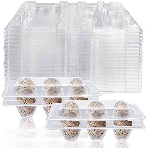 FIGFYOU 50 Stück Wachteleierschachteln Eierschachteln Wachteln 6 Gitter Kunststoff Wachtelei-Kartons Transparente Quail Egg Kartons Eierschachtel für Wachteleier Cover