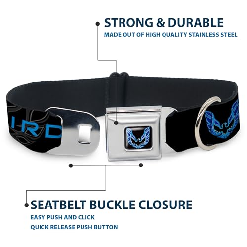 Collier de chien Pontiac Firebird Buckle Down noir et bleu réglable medium