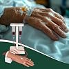 Ultrassist Geriatric IV Training Hand Kit for Vein Insertion Exercises, Elderly Hand IV Practice Kit for Nursing Students and Other Medical Professionals; IV Practice Hand with Latex-Free Veins