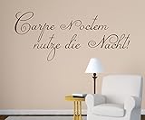 Wandtattoo CARPE NOCTEM Spruch nutze Nacht Sticker Aufkleber Wand Spruch Schlafzimmer Autoaufkleber Türaufkleber Schriftzug Zitat 1D056, Farbe:Braun glanz, Breite vom Motiv:25cm