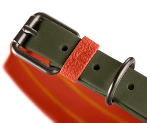 HUNTER Hundehalsband Havanna MINI, Farbe: grün/orange, Strukturgewebe mit Kunststoffummantelung, breit, komfortabel, langlebig, reißfest, witterungsbeständig, pflegeleicht, Gunmetal-Look, Größe: 40