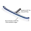 Swimming Pool Wall & Tile Brush,18" Heavy Duty Vinyl Polished Aluminum Back Cleaning Brush Head Designed for Cleans Walls, Tiles & Floors, Nylon Bristles Brush Head with EZ Clips (Pole not Included)