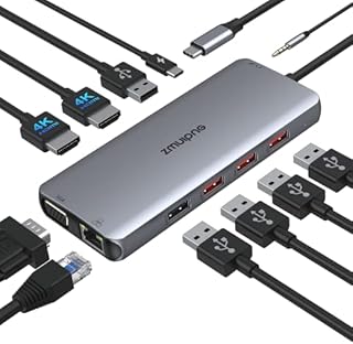 USB C Docking Station Dual Monitor 2 HDMI,Thunderbolt Laptop Dock for HP Dell,12 IN 1 USB C Hub Multiport Adapter to 4K HDMI,VGA,Ethernet,4 USB Ports,PD,SD/TF, 3.5MM for Lenovo,Surface,MacBook