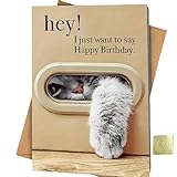 Funny Cat Birthday Card, Funny Happy Birthday Greeting Cards For Women Men With Envelopes, Cute Cat Bday Themed Gifts For Mom Dad Wife Husband Daughter Son Him Her Brother Sister Friend Cat Lover