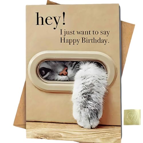Funny Cat Birthday Card, Funny Happy Birthday Greeting Cards For Women Men With Envelopes, Cute Cat...
