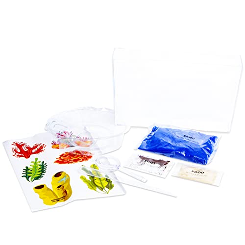 Water Hatching Eggs Science Kit For Kids ~ Hatch And Grow Aquatic Pets For Boys And Girls | Triops Hatch And Grow Eggs Habitat With Food And Tank #TOP1