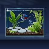 aquarium rectangulaire 20 litres 【Ce que vous recevrez】Ce kit d’aquarium petit format comprend 1 aquarium dimensions 7,9 x 5,5 x 6,3 pouces (25 cm x 18 cm x 16 cm, 7.6 litres) avec des parois en verre de 4,8 mm d’épaisseur. Vous recevrez également 2 éponges de nettoyage, 1 petit filet à poisson et 1 siphon pour changement d’eau. Cet aquarium tout-en-un crée un foyer confortable pour les bettas et les poissons rouges. Profitez chaque jour d’une atmosphère calme et heureuse dans votre chambre, bureau ou espace de vie. Le design carré s’adapte parfaitement sur les bureaux et étagères. Il est facile à nettoyer et à entretenir.