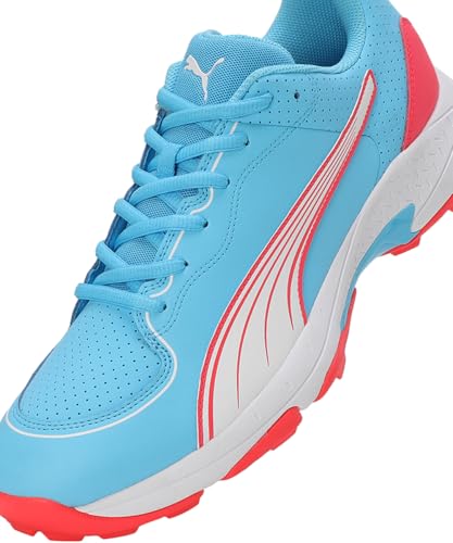 Image of Puma Mens Spike 24.2 Cricket Shoe
