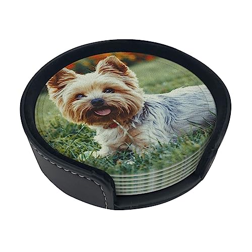 ヨークシャーテリアプリントコースター6枚セット、PUレザーラウンドコースター、ホルダー付き耐熱ドリンクコースター、コーヒーカップマット、バー、キッチン、ホーム用