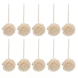 ANDRESLAD 10 Piezas Varillas de Ratán Aromaterapia con Flores Secas Difusor Aroma Natural para Hogar y Oficina Accesorios para Ambientadores y Esencias