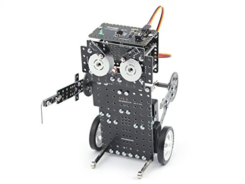 roborobo kit price