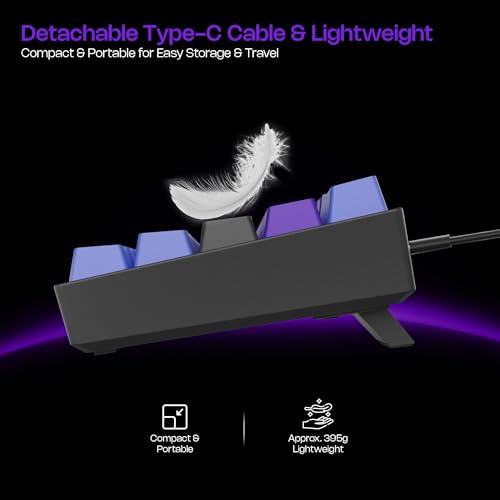 Image of Archer Tech Lab Wired Mechanical Gaming Keyboard| 60% Compact, 63 Keys+ 26 Anti-Ghosting, Blue Switches Tactile Feedback, 17 RGB Effects, 50 Million Clicks for Laptop Mac PS4 PS5 Xbox (Astra M400)