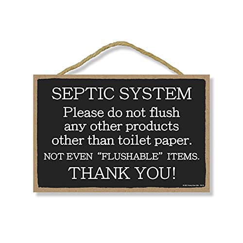 Top 10 Best Toilet For Septic System Reviews & Buying Guide Katynel