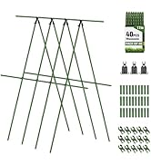 Amazon.com : Joyhalo Moss Pole Monstera Plant Support, 6 Pcs 15.7
