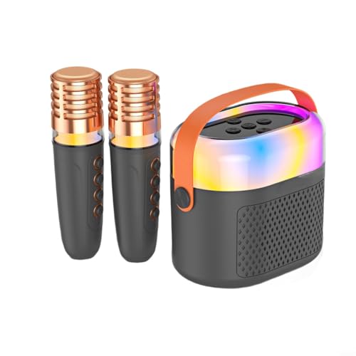 EffiFish Altavoz portátil con 2 micrófonos, máquina de karaoke con luces coloridas, estéreo inalámbrico ABS para fiesta en casa, negro (negro)