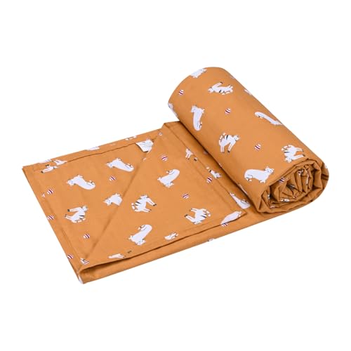 Image of Trance Home Linen 100% Cotton | Kids Dohar | Single Bed | 150 GSM | Reversible Ac Comforter | Light Weight All Season Soft Blanket (58x90 Inches | Kittens)
