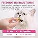 Puddonio Catnip Cat Treats, Chicken and Salmon Flavor Cat Snacks, Training Biscuits Treats for Cats, Crunchy Fish Shape Adult Cat Biscuits, 8 oz