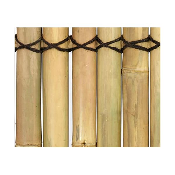 Sichtschutzzaun Bambuszaun Apas5 gelblich mit 180 x 90cm - Bambus Sichtschutzwand aus dicken Bambusrohren 1,8m x 0,9m… – Bild 6
