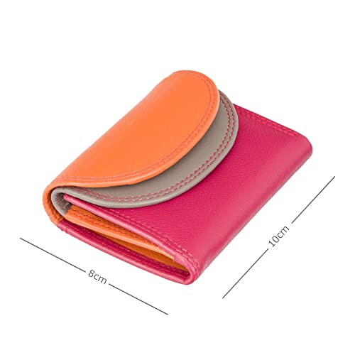 Visconti Rainbow Collection Small Leather Purse Rfid And Tap And Go Rb126 (Orange Multi) #TOP2