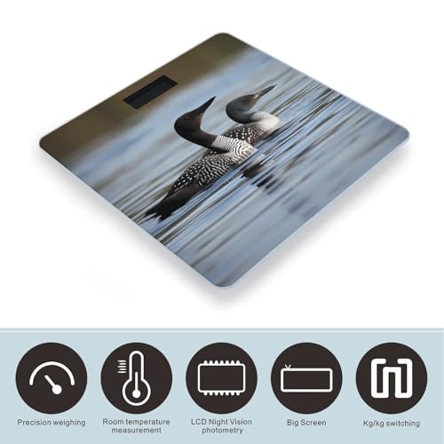 Balanza digital de baño Loon Birds con sensores precisos miniatura 3