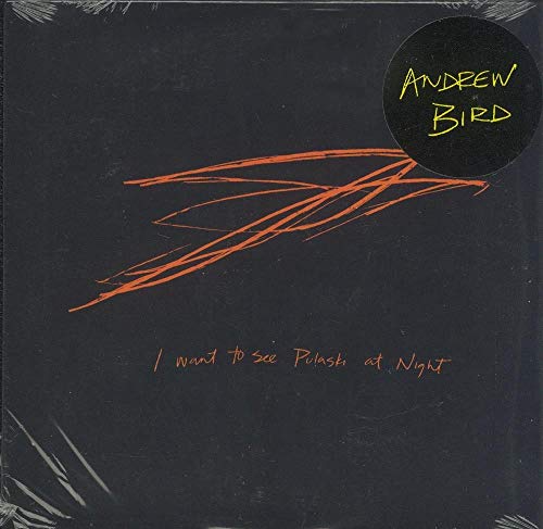 I Want to See Pulaski at Night