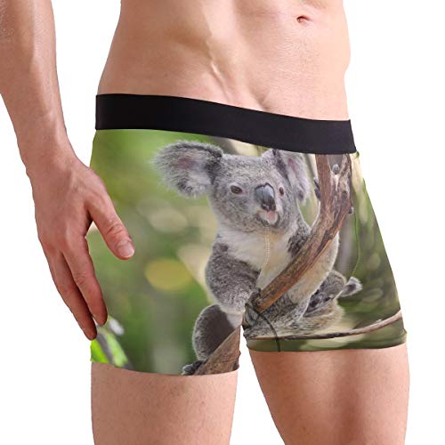ZZKKO Chameleon Sunflower Mens Boxer Briefs Underwear Breathable Stretch Boxer Trunk with Pouch S-XXL4