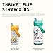 CamelBak Thrive Flip Straw Kids Bite Valve Stainless Steel Water Bottle Biking Dogs, 12oz