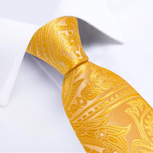 Image of DiBanGu Silk Floral Ties for Men Woven Paisley Necktie and Tie Clip Handkerchief Cufflinks Set for Party Wedding