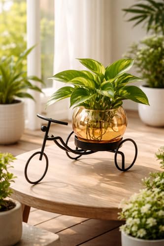 Image of CentraLit Decorative Metal Tricycle Planter for Home Decor | Handcrafted Indoor Plant Pot with Amber Glass Bowl | Premium Tabletop Planter for Living Room, Office, Balcony & Gifting