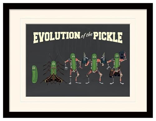 Rick and Morty 1art1 Poster Evolution Der Gurke, Gurken Rick Gerahmtes Bild Mit Edlem Passepartout | Wand-Bilder | Im Bilderrahmen 40x30 cm