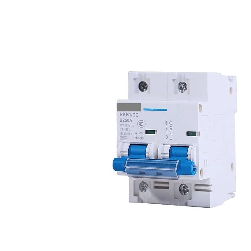 Interruttore Magnetotermico Interruttore automatico CC 1P/2P 12/24/48/60/120V 80A 100A 125A 150A 200A 250A di protezione da cortocircuito della batteria for yacht(2P,250A)
