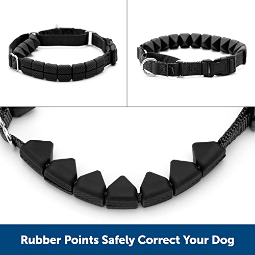 PetSafe Soft Point Training Collar, No Pull Training Collar for Dogs Rubber Soft Points, Large, 1 in, Black - Image 3