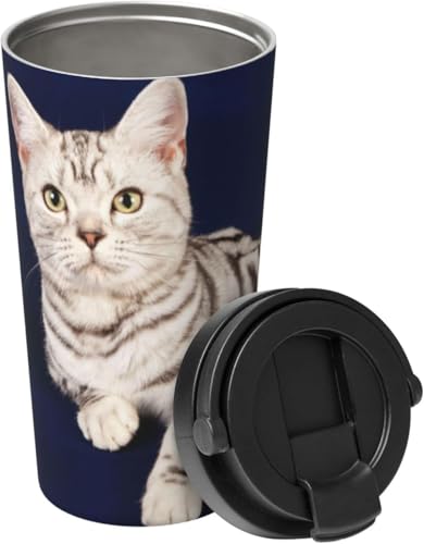   L L ʔ ˂ }OJbv ^fM ۉ ۗ lC XeX{g X|[cΉ RȂ 500ml j̎q ̎q l q  v[g [sAi]