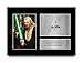 HWC Trading Liam Neeson A4 Sin Marco Regalo De Visualización De Fotos De Impresión De Imagen Impresa Autógrafo Firmado Por Star Wars Qui-Gon Jinn Los Aficionados Al Cine