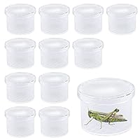 ZDNT 12Pcs Magnifying Insect Container Bug Viewer Insect Cage Bug Catcher Bug Magnifier Container Insect Magnifier Bug Catcher for kids Plastic Insect Boxes for Kids Science Nature Exploration