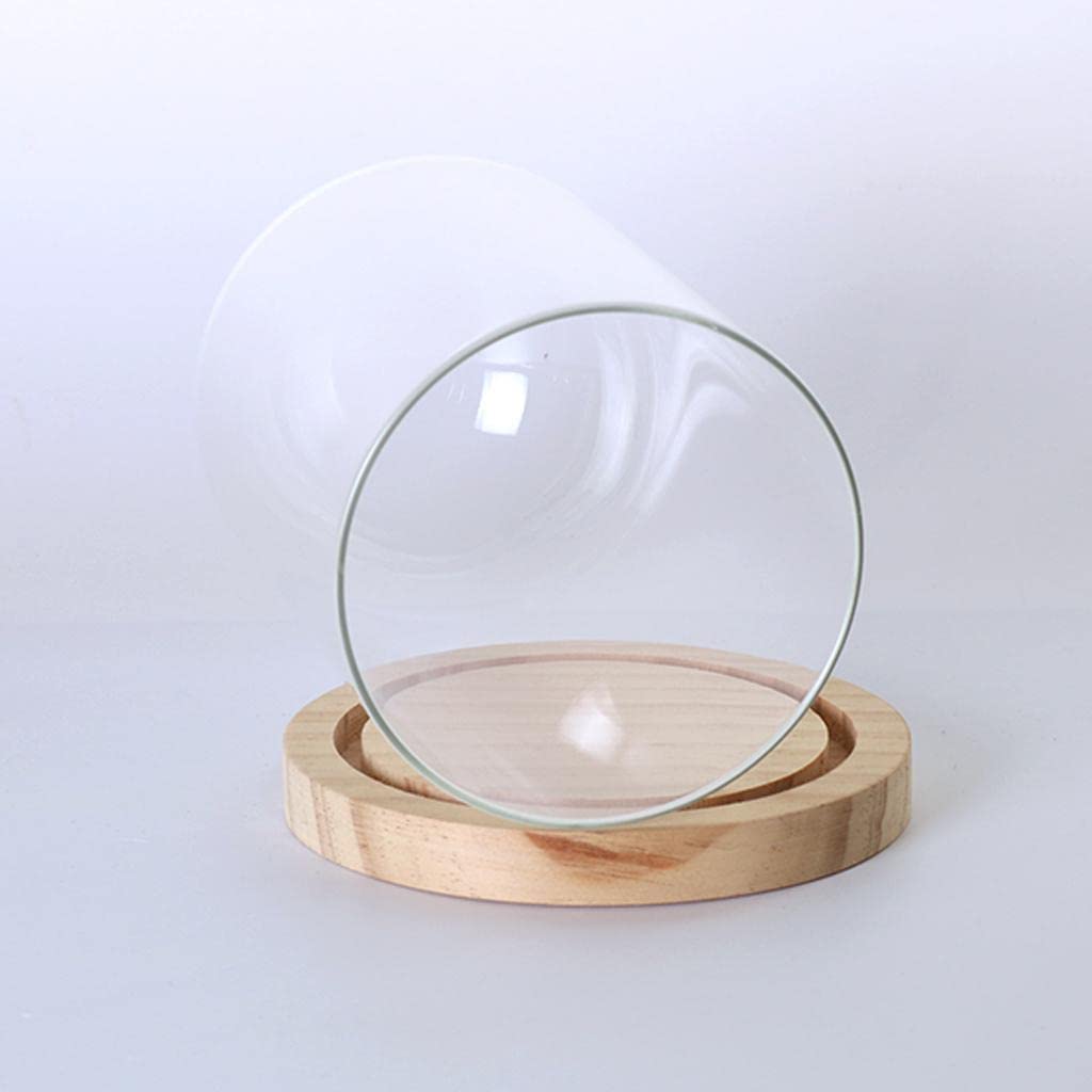 Bnf® Glass Cover Landscape Vase Terrarium Round Wood Tray Flower DFWNDSr Gift S|Home & Garden | Home Dcor| Vases-image-33